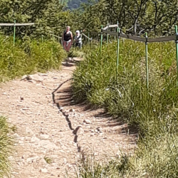 2020 Lobodzew Dolny Sanok